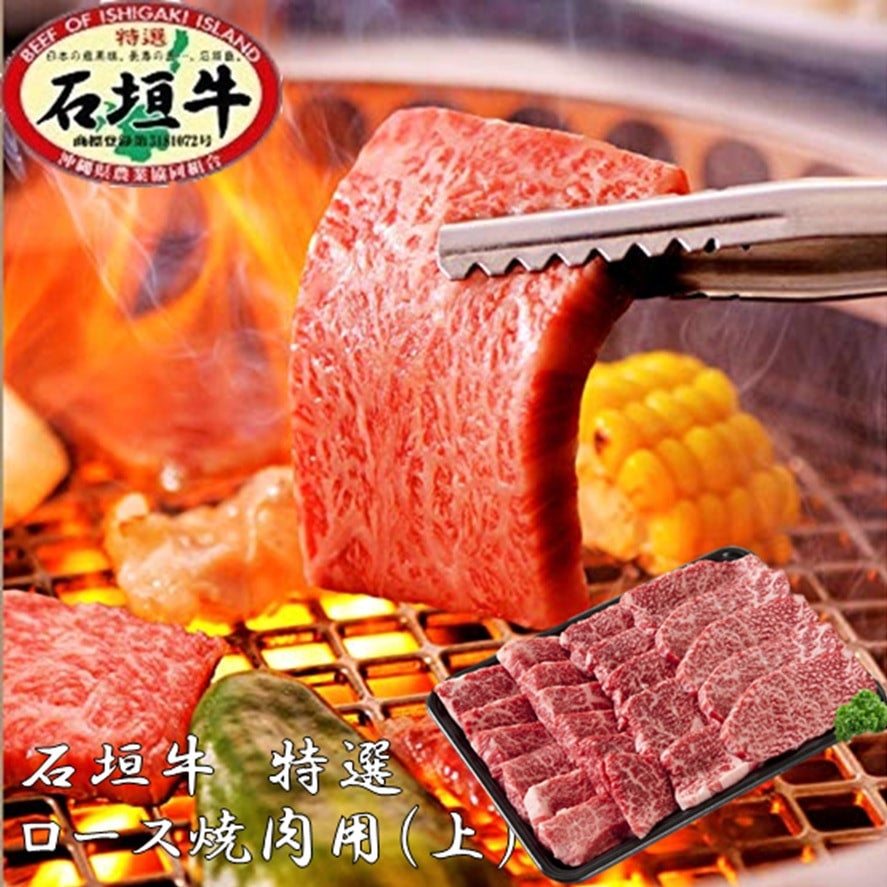 石垣島肉グルメセット〜石垣牛、あぐー豚〜 石垣牛・あぐー豚ハンバーグセット - 【公式】ビーカインド