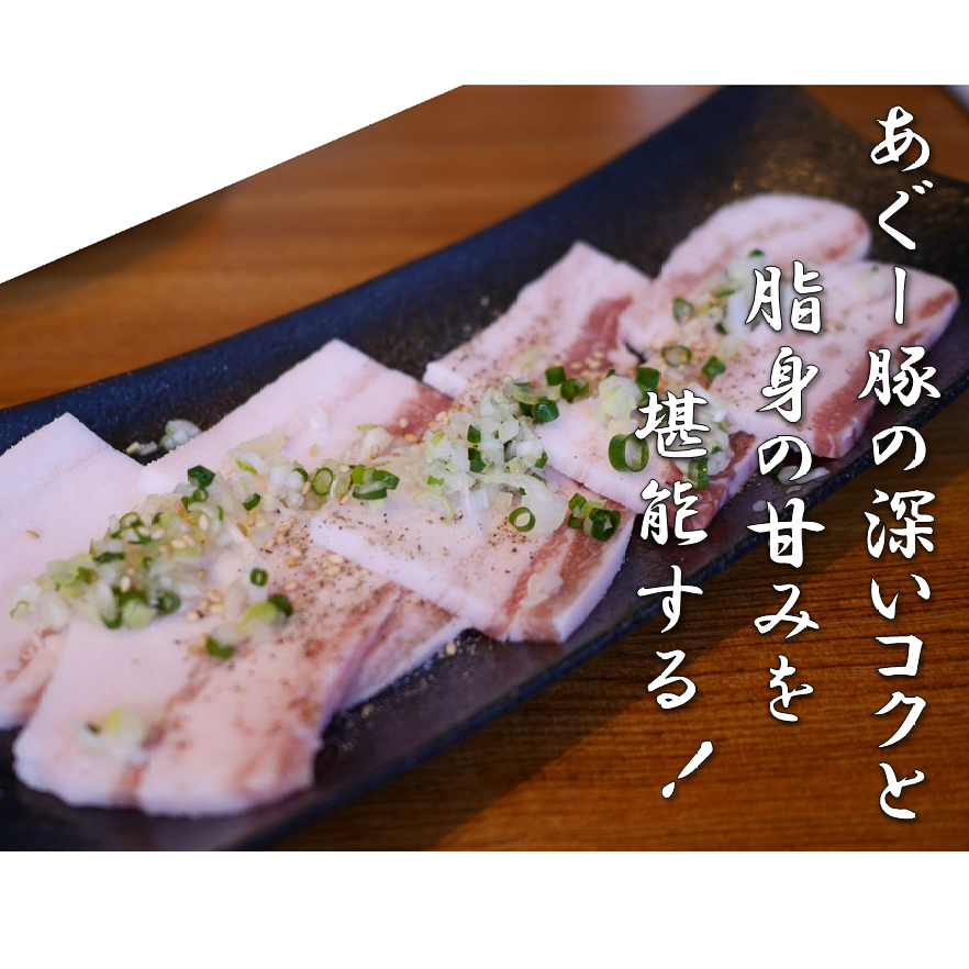 沖縄県産和牛 石垣牛・あぐー豚 三昧セット《贈答用化粧箱入り